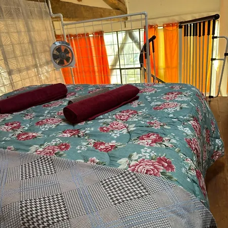 La Corte Dei Celti 5 Appartement San Benedetto Del Querceto