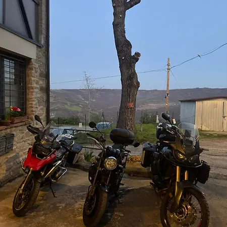 La Corte Dei Celti 5 *