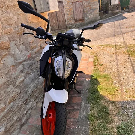 La Corte Dei Celti 5