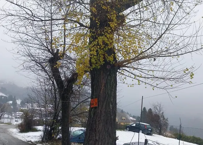 Apartmán La Corte Dei Celti 5 San Benedetto Del Querceto