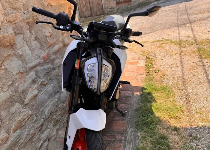 La Corte Dei Celti 5